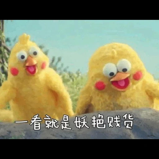 jouets, drôle de poulet, meme poussin chiot, poulet à mèmes japonais, lunettes de soleil chicken 2d