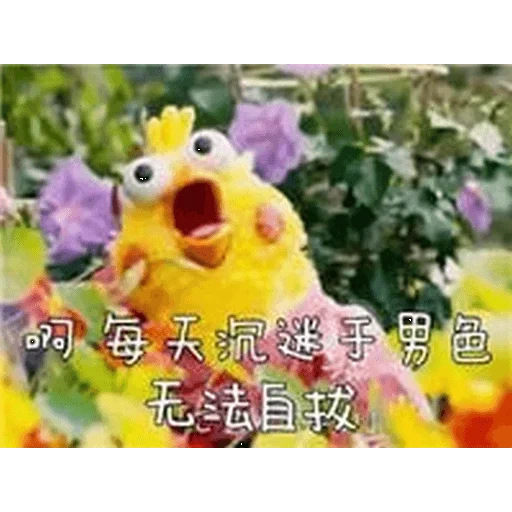langue, plurk, twitter, chicken toy memes, poulet à mèmes japonais