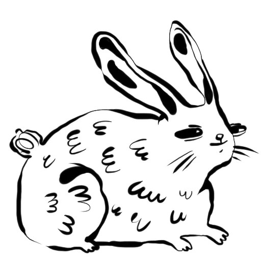 белый кролик вектор, зайцеобразные рисунок, ангорский кролик рисунок, кролик вектор черно белый, ангорский кролик раскраска