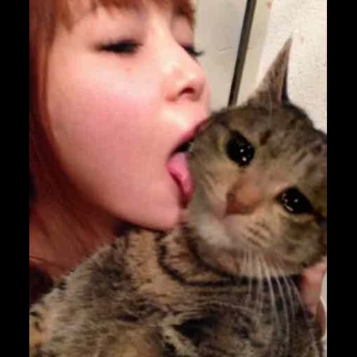 cat, japanese woman, the girl licks the cat