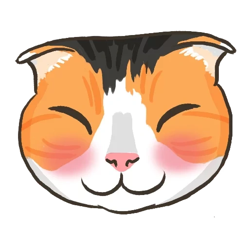 chat, chat, ico cat, chat twitch emote, chat tricolor