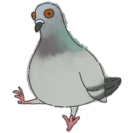pigeon, pigeon, art de colombe, le pigeon devant, pigeon de dessin animé