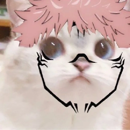 cats, cat, nijisanji, cat animation, chestnut cat