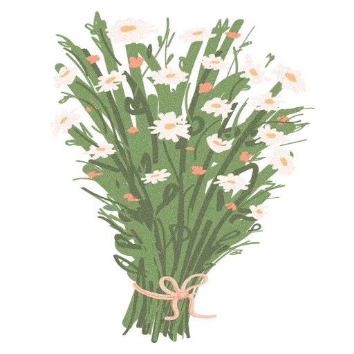 plants, a bunch of irises, daisy bouquet, chamomile