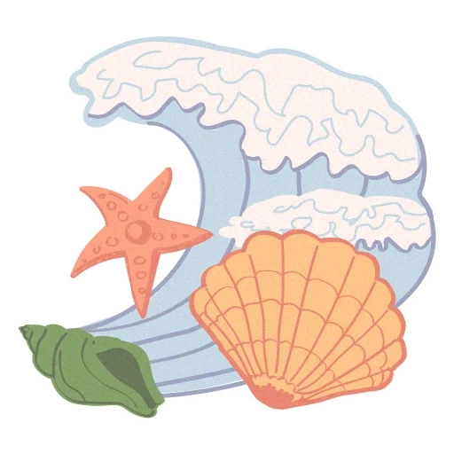 summer, shell sea, conch