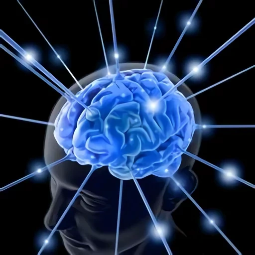 otak, otak sadar, otak, otak manusia, otak manusia