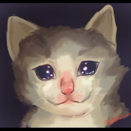 crying cat, плачущие коты, грустный котик, плачущий котик, милый котик мем