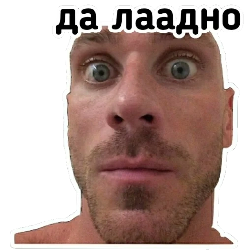 johnny sims, johnny sins meme, calvo debido al ruso, ahora veo todo el meme