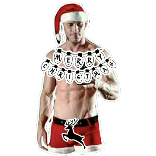 sleeve, johnny hins, johnny sins santa claus