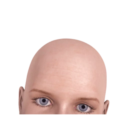 bald head, bald kenchik, bald head, bald man, a bald man