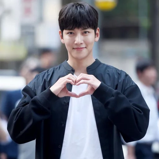 zhi chan uk, ji chang wook, ji chan chan in plastica, codice penale chan, attori coreani