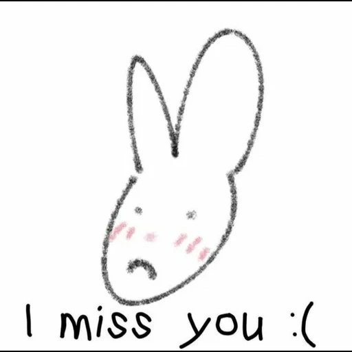 liebre, conejo, imagen, dibujo de conejo, hocico de conejito