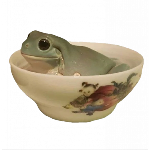 peralatan makan, katak dan kodok, keramik papan, goblincore frogs, mangkuk salad porselen