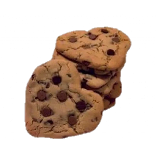 dizlaik, cookies cookies, biscoitos de chocolate, biscoitos de chocolate, biscoitos de chocolate com fundo branco