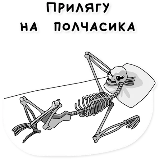 squelette, squelette squelette, dessin du squelette, squelettes squelettes, squelette de coloration