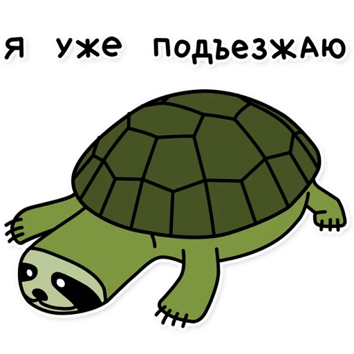 tortuga, tortuga de niños, tortuga con un cepillo, ilustración de tortuga, patrón de tortuga de niños