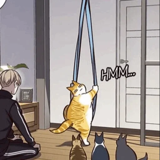 kucing, manga, manchu, manga kucing, manga anime
