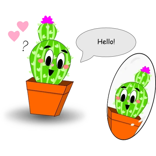 cactus, cactus, cactus, lindo cactus