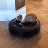 robot penyedot debu, penyedot debu robot kucing, irobot vacuum cleaner robot, robot vacuum cleaner roborock, robot penyedot debu berbicara