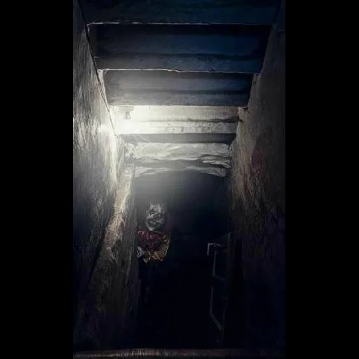 kengerian, basement, manusia, kegelapan, ruang bawah tanah yang mengerikan