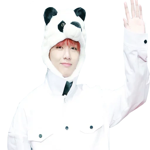 taiheng bts, panda bts, bts tai hang, taiheng bts panda, bts taiheng hat