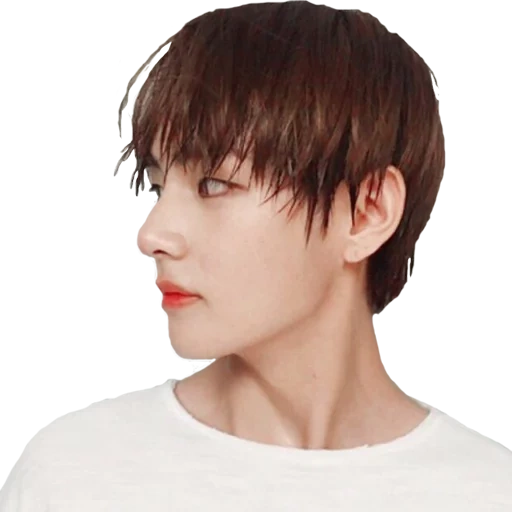 visage de taehen, kim ta hyun, bangtan boys, profil taehen, profil kim taehen