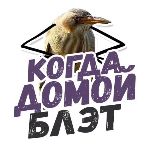 quindi blalato, quindi il blalato è un uccello, kiwi bird blalate, blat blet senza iscrizione
