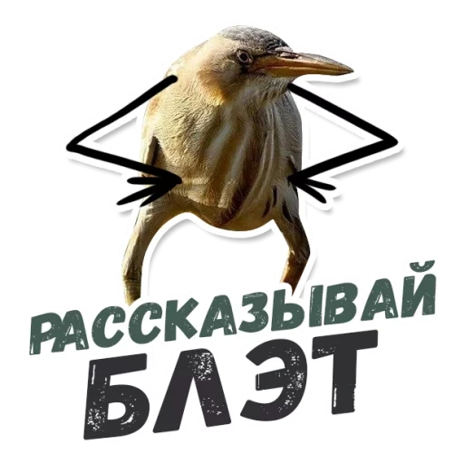 meme blalato, quindi blalato, uccello blalato, quindi meme blalato, quindi il blalato è un uccello