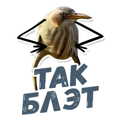 quindi blalato, il kiwi è così blat, quindi il blalato è un uccello, kiwi bird blalate, quindi blaie senza iscrizione