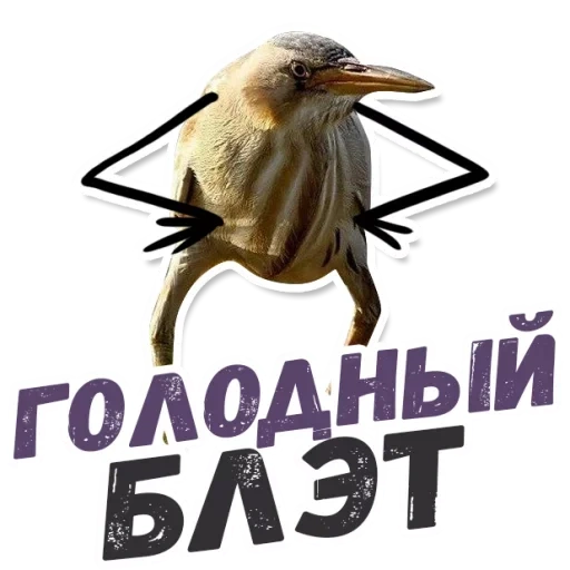 блэт, тэк блэт, так блэт, тэк блэт птица