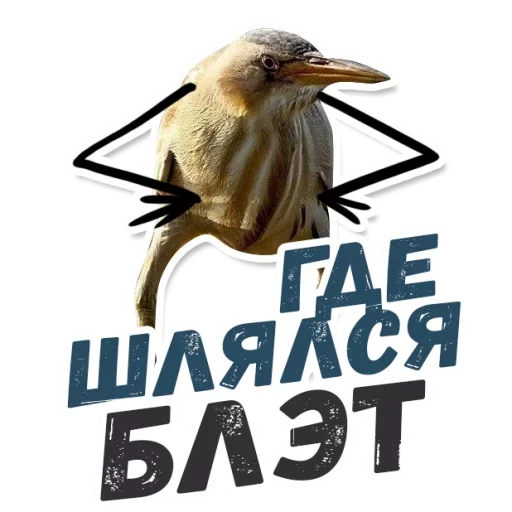 блэт, тэк блэт, так блэт, птичка блэт