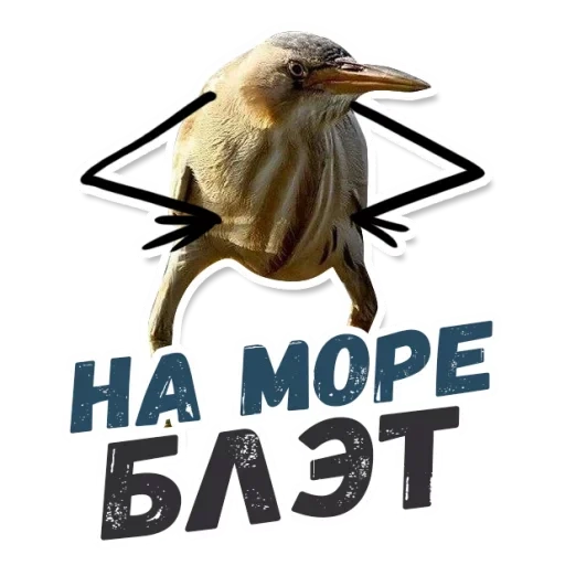 blasso, quindi blalato, quindi meme blalato, kiwi bird blalate