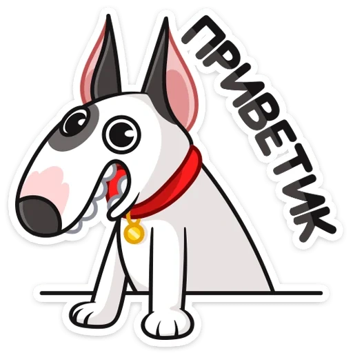 tucker, bull terrier, capodanno tucker, vasap bullterrier