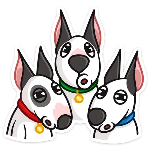 the tucker, bull terrier, vasap bull terrier