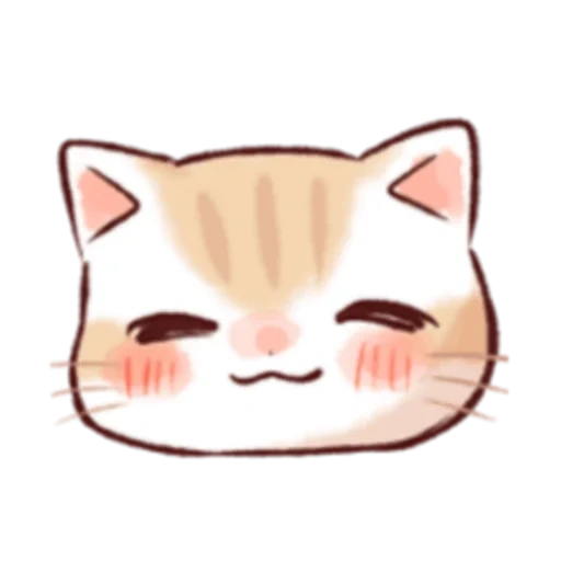 cat, die katze, süße katze, niedliche tiere, katzengesicht anime