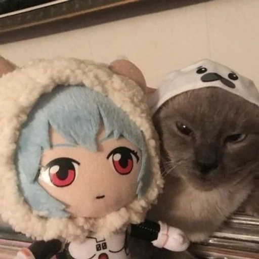 gato, anime lindo, gatos lindos, gatitos de anime, anime animales lindos