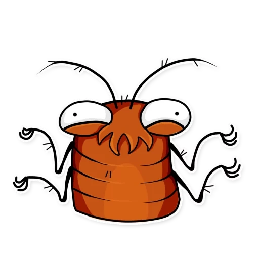 gli scarafaggi, lo scarafaggio valera, modello di scarafaggio