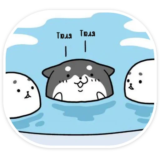 neko, funny, defective seal