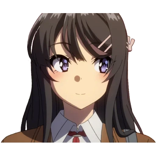 сакураджима мэй, мэй сакурадзима, bunny girl senpai, seishun buta yarou wa bunny