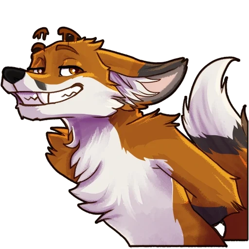 fox, furry, furri meme, furry fox, fox furri