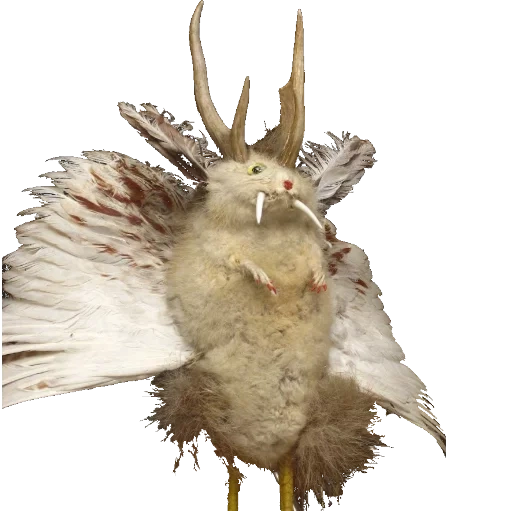 wolpertinger, вольпертингер, сова декоративная kaemingk