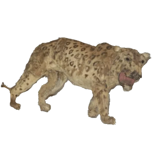 амурский леопард collecta, игрушка фигурка леопарда l2, фигурка safari ltd леопард 271529, американский лев panthera leo spelaea, фигурка collecta амурский леопард 88708
