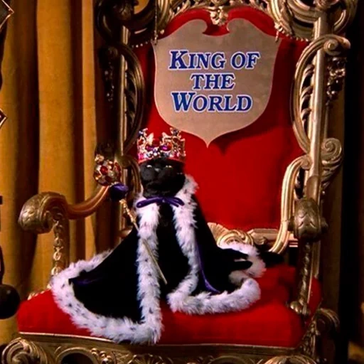 kucing, fred sabergen, seil cat king, kucing tarot bohemian, king salem king the world
