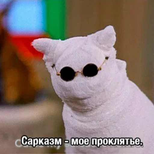 кот, мем кот, кот сейлем, салем сабрина мем, кот салем сарказм