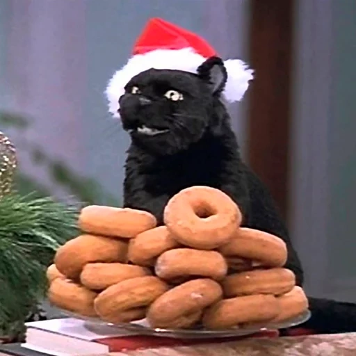 gato, gato salem, gato salem, sabrina es una pequeña bruja, salem sabrina little witch