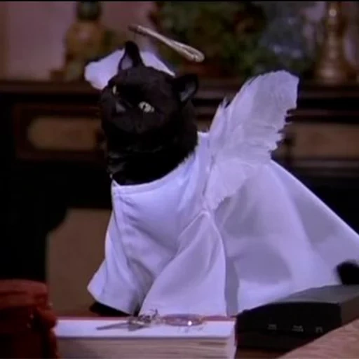 gato salem, rey arturo, efecto mariposa, salem sabrina little witch, sabrina little witch cat salem