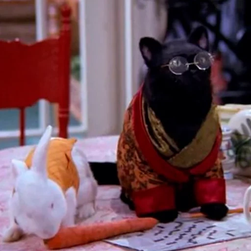 salem, the pack, salem cat, salem cat, salem saberhagen