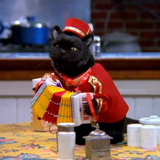 salem, reddit, you're on, salem cat, fred saberhagen