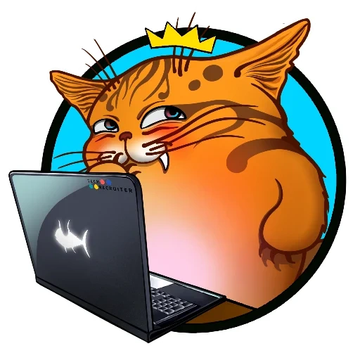 cats, cat, cat hurle, programmeur de chat, cat programme