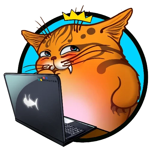 gato, gato, gato chamado, programador de gato, gato de programa